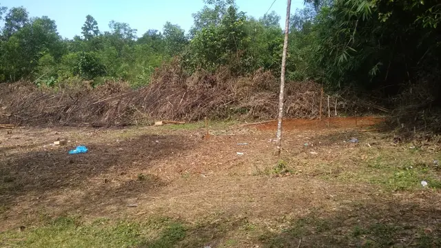 Pengalaman Menengangkan Penggali Makam Pasien Covid-19 di Palembang