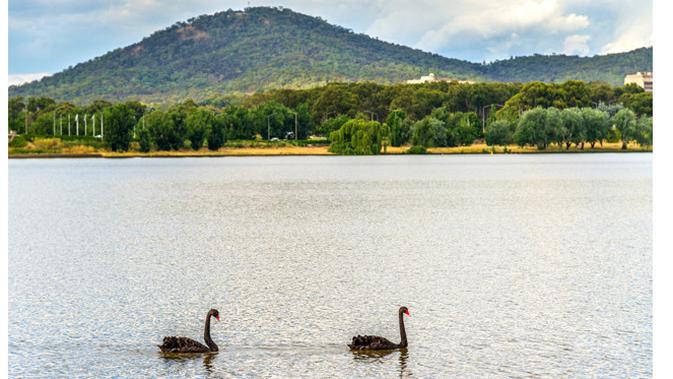 Danau Burley Griffin di Canberra (foto: shutterstock.com)