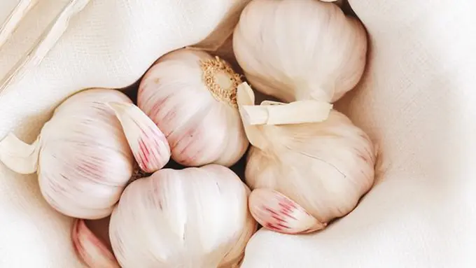 Copyright: unsplash/gaelle marcel