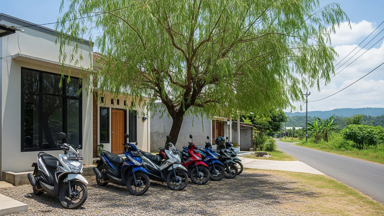 Tanaman Peneduh untuk Parkiran Motor
