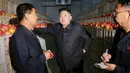 Pemimpin Korea Utara Kim Jong Un berbincang di dalam gudang penyimpanan hasil panen apel di Pyongyang, Minggu (18/9). Selain untuk melihat hasil panen, kedatangan Kim Jong Un juga untuk memberi bimbingan kepada Kosan Combined Fruit Farm. (REUTERS/KCNA) 
