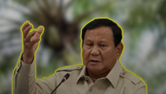 Presiden Prabowo Papua Harus Ditanam Sawit