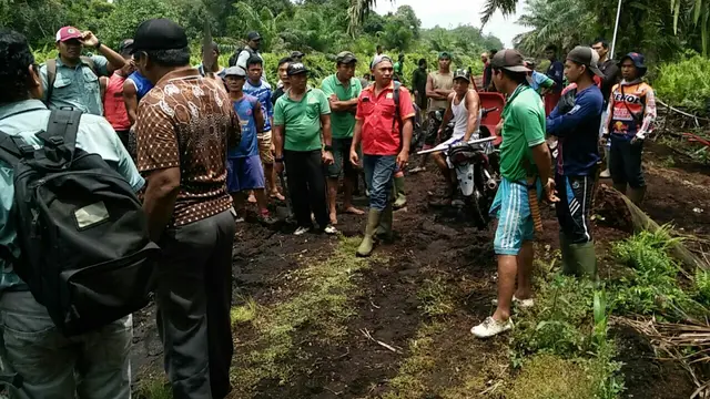 Harimau Bonita