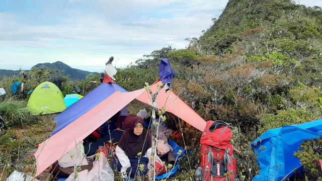 Cerita Perempuan Perkasa 56 Tahun Taklukkan Puncak Gunung Leuser