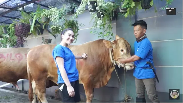 Kurban 3 Sapi, Ini 6 Potret Suasana Rumah Ayu Ting Ting Rayakan Idul Adha 2022