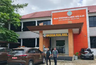 Kejati Kalsel geledah kantor BKSDA. (Liputan6.com/Aslam Mahfuz)
