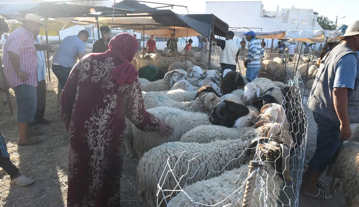 Orang-orang mengunjungi pasar ternak menjelang Hari Raya Idul Adha di Tunis, Tunisia, pada 20 Juli 2020. Hari Raya Idul Adha identik dengan penyembelihan hewan kurban bagi yang mampu. (Xinhua/Adel Ezzine)
