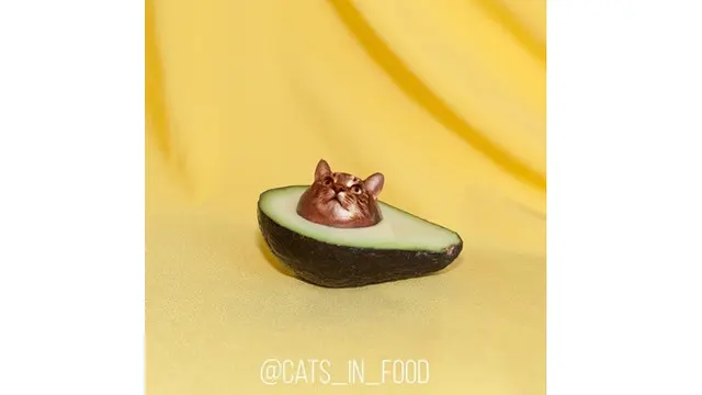 7 Foto Editan Kucing dalam Makanan Ini Kreatif Banget