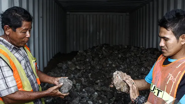 Bea dan Cukai Rilis 37 Kontainer Minerba Ilegal