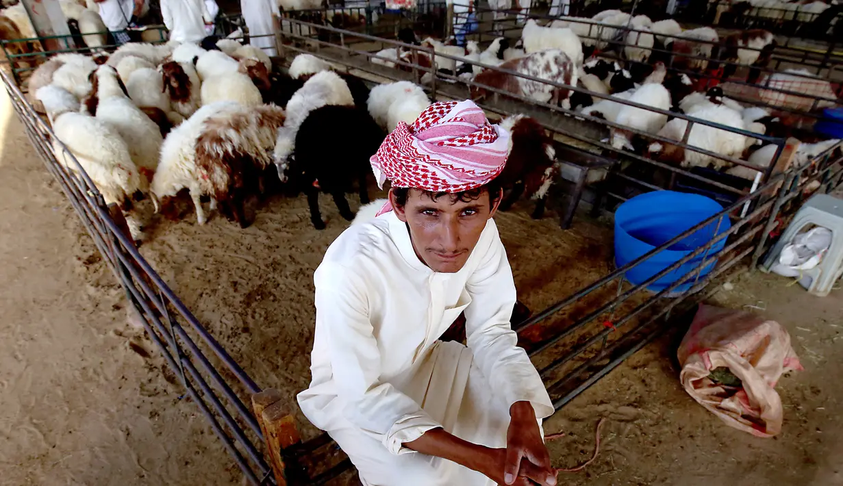 Seorang penjual menunggu pembeli hewan kurban menjelang Idul Adha di sebuah pasar ternak di Kuwait pada 5 Agustus 2019. Umat Islam di seluruh dunia akan merayakan Idul Adha yang identik dengan tradisi berkurban dengan hewan seperti kambing, domba, unta, sapi dan kerbau. (Yasser Al-Zayyat/AFP)