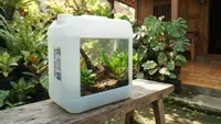 Cara Membuat Akuarium Outdoor dari Jeriken Bekas, Panduan Lengkap untuk Pemula
