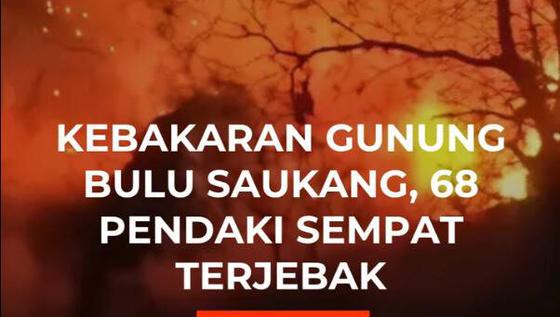 Kebakaran Gunung Bulu Saukang, 68 Pendaki Sempat Terjebak