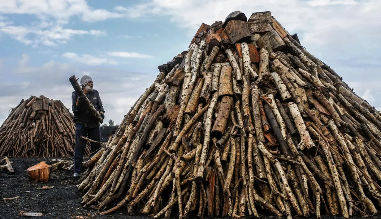 Pekerja menumpuk kayu di fasilitas produksi arang al-Hattab, sebelah timur Kota Gaza, Palestina, 28 Januari 2021. Kayu dibakar selama beberapa hari. (Mohammed ABED/AFP)