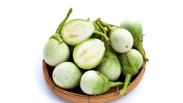 4. Meningkatkan Imunitas