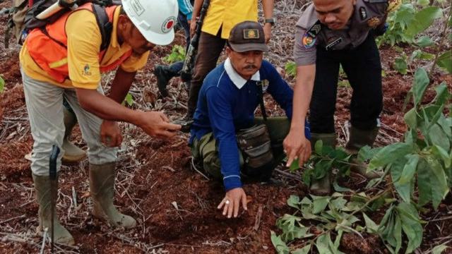 Petugas BBKSDA Riau mengecek lokasi harimau terkam pekerja di Indragiri Hilir.