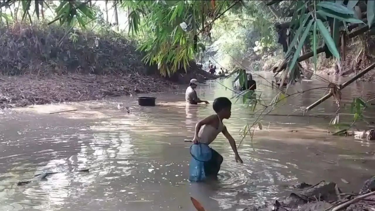 Ikan Mati