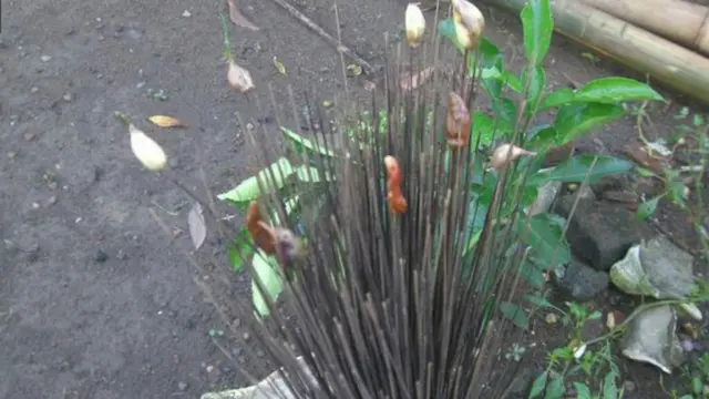 Melawan Alam = Bunuh Diri