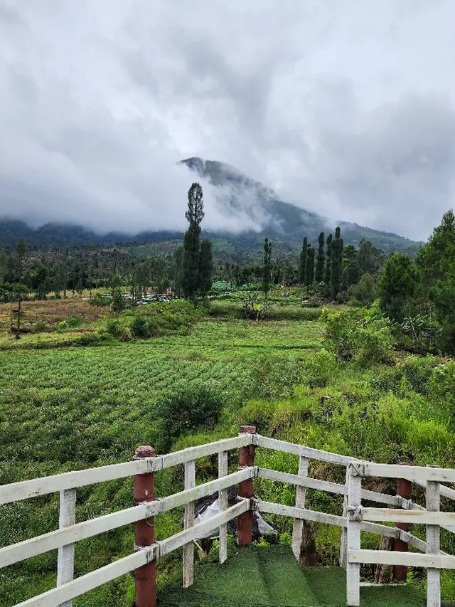 Spot Glamping Temanggung; Kampoeng Atas Awan