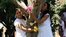 Aktivis lingkungan berpakaian pengantin memeluk dan mencium pohon di San Jacinto Amilpas, Oaxaca, Meksiko, Minggu (25/2). Acara ini digelar untuk meningkatkan kesadaran dan menghentikan pembalakan liar. (AFP FOTO/PATRIKIA CASTELLANOS)