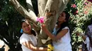 Aktivis lingkungan berpakaian pengantin memeluk dan mencium pohon di San Jacinto Amilpas, Oaxaca, Meksiko, Minggu (25/2). Acara ini digelar untuk meningkatkan kesadaran dan menghentikan pembalakan liar. (AFP FOTO/PATRIKIA CASTELLANOS)