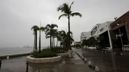 Badai Patricia mendarat di pantai Pasifik Meksiko, Jumat (23/10). Badai terkuat yang pernah tercatat ini menyerang pantai pasifik Meksiko. Pemerintah Meksiko telah mengevakuasi sejumlah penduduk. (REUTERS / Henry Romero)