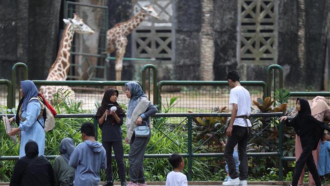 Puncak Libur Isra Miraj: Ragunan Diserbu 12 Ribu Lebih Wisatawan