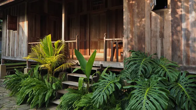 Desain Rumah Desa dengan Taman Mini yang Bikin Udara Dingin (AI)