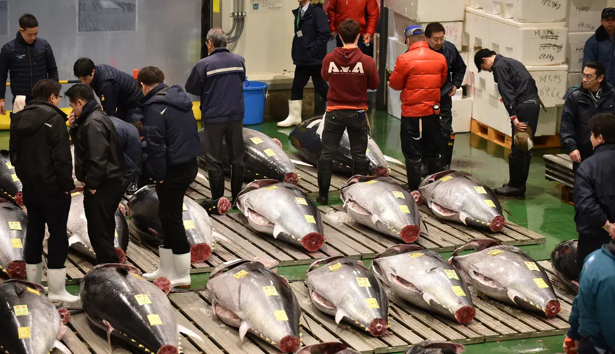 Orang-orang menghadiri tradisi lelang Tahun Baru di Pasar ikan Toyosu, Tokyo, Minggu (5/1/2020). Lelang ikan ini adalah kegiatan rutin usai Tahun Baru yang biasanya diadakan menjelang fajar di pasar ikan Toyosu. (Kazuhiro NOGI / AFP)