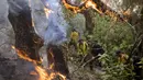 Petugas pemadam kebakaran berjuang melawan kebakaran hutan di wilayah Chefchaouen, Maroko, 17 Agustus 2021. Petugas pemadam kebakaran Maroko berjuang untuk memadamkan dua kebakaran hutan saat negara tersebut dilanda gelombang panas. (FADEL SENNA/AFP)