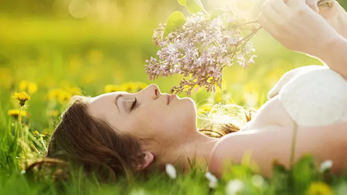 Copyright by Shutterstock.com