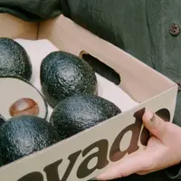 Penampakan buah Ecovado. (Foto: Ecovado)