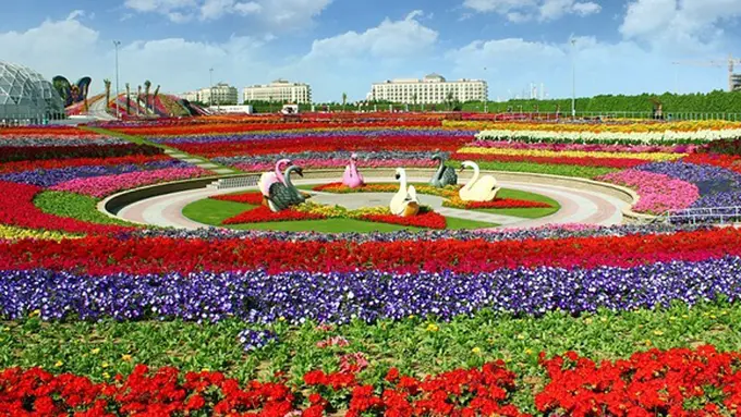 Photo: Copyright dailymail.co.uk