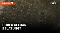 Baru ini media sosial dihebohkan dengan eksperimen sebuah cobek dibakar yang mengeluarkan belatung, kok bisa? Ini penjelasannya...