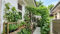6 Inspirasi Kebun Koridor yang Cocok untuk Rumah Perumnas, Cantik Meski Lahan Terbatas
