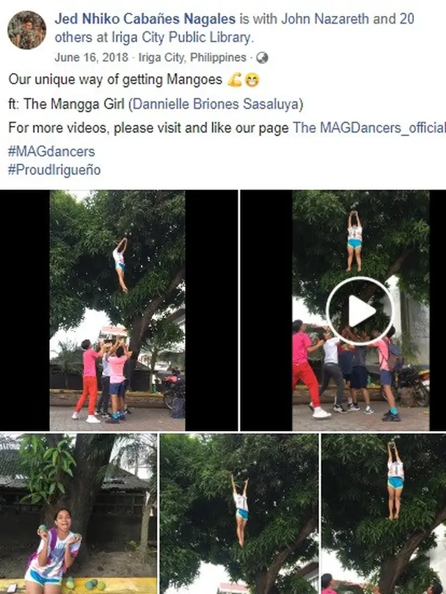 petik mangga ala cheerleader