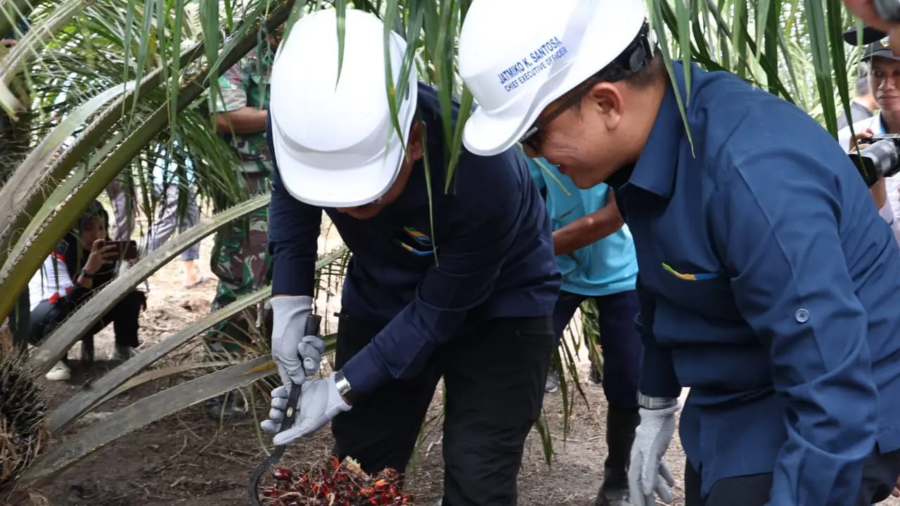 Program peremajaan sawit rakyat (PSR)