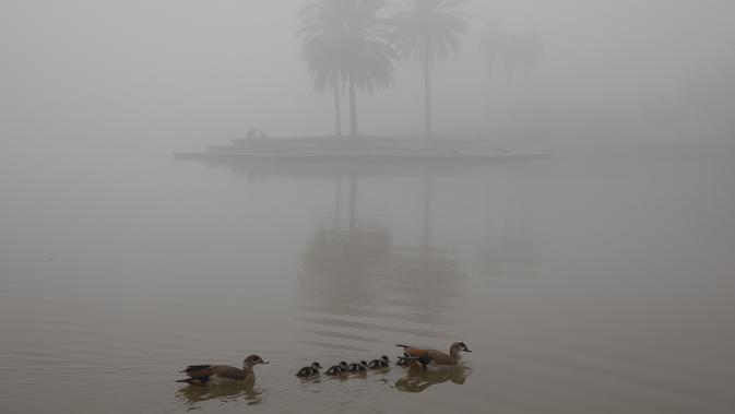 Bebek berenang di danau yang diselimuti kabut pagi tebal di Tel Aviv, Israel, Rabu (6/1/2021). Kondisi ini disinyalir dapat mengaburkan jarak pandang dan memperlambat lalu lintas. (AP Photo/Oded Balilty)