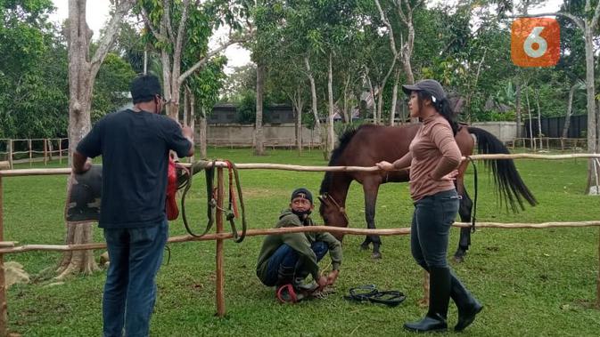 Ada dua jenis kuda di Taman Ulin Arya yang bisa disewa pengunjung.
