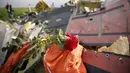 Sebuah bunga mawar di atas puing MH17 sebagai wujud turut berduka dari warga Ukraina, Ukraina, Sabtu (19/07/2014) (REUTERS/Maxim Zmeyev)