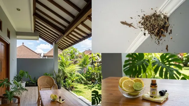 16 Cara Mencegah Cicak Bersarang di Plafon Teras Rumah, Bikin Area Tetap Bersih