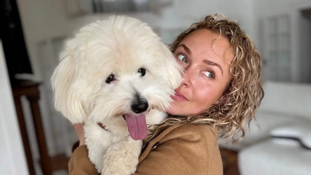 Hayden Panettiere