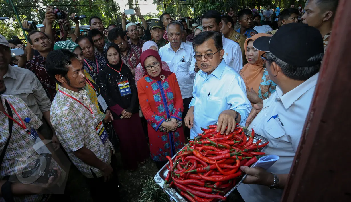 Wapres Jusuf Kalla juga mengajak   warga berdialog soal hasil   pertanian saat mendatangi rumah   ayahnya, di Dusun Nipah, Desa   Mallari Kecamatan Awangpone,   Kabupaten Bone, Sulawesi Selatan,   Sabtu (6/6). (Liputan6.com/Faizal   Fanani)