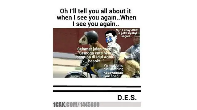 8 Meme Kocak Jelang Iduladha Ini Bikin Baper
