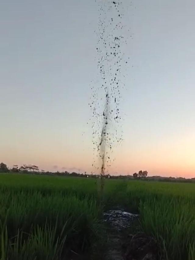 Semburan lumpur dari sumur bor di Desa Sikampuh, Kroya, Cilacap, 13 Juli 2019. (Foto: Liputan6.com/Humas Unsoed/Muhamad Ridlo)