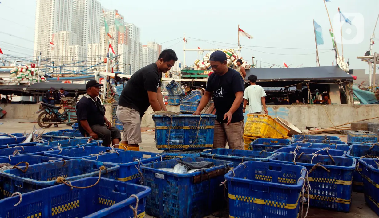 Kebutuhan ikan cakalang di Negeri Sakura sangat besar. Perikanan Indonesia akan mencoba menyuplai kebutuhan pasar tersebut. (Liputan6.com/Johan Tallo)