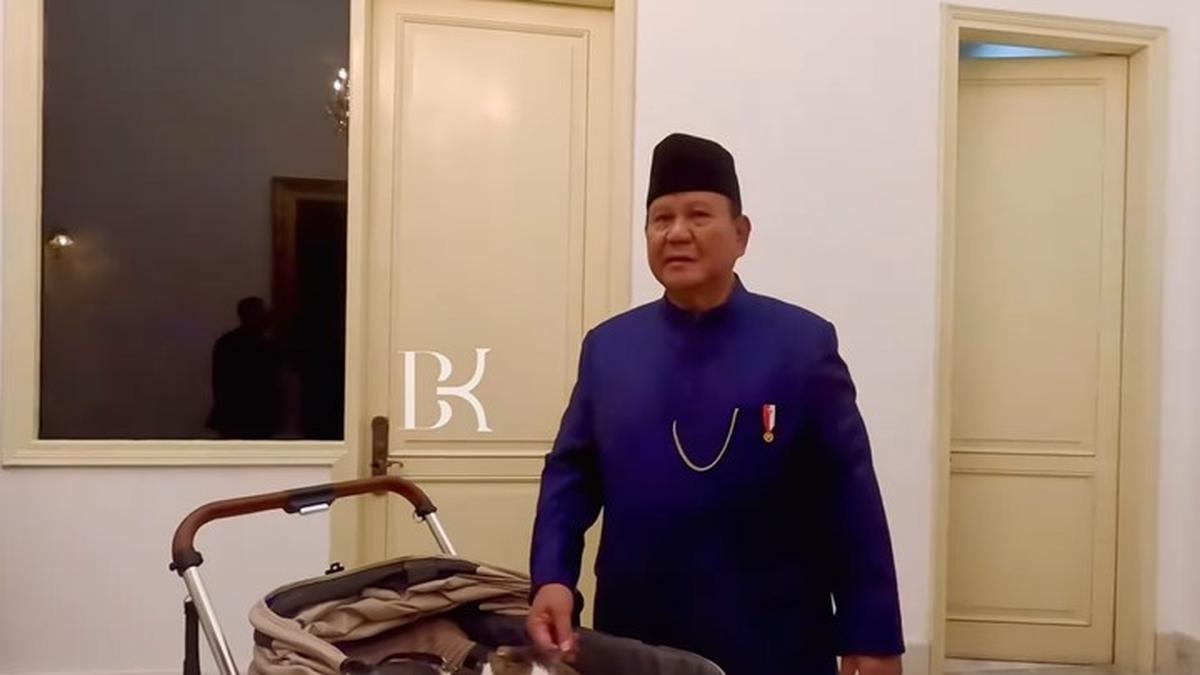 Bobby Kertanegara Kucing Prabowo Punya Kamar di Istana, Warganet: Jangan Lupa Room Tour Berita Viral Hari Ini Senin 21 Oktober 2024