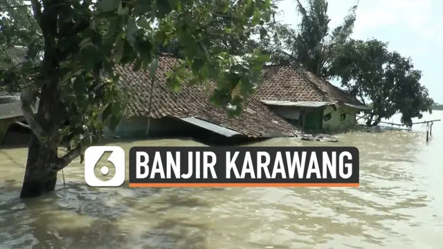 VIDEO: Butuh Bantuan,18 Kecamatan di Karawang Masih Terendam Banjir