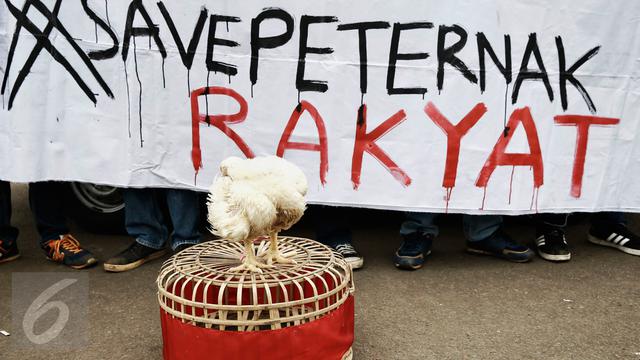 20160301-Gelar Aksi Demo, Pengunjuk Rasa Bawa 1 Truk Ayam Ternak