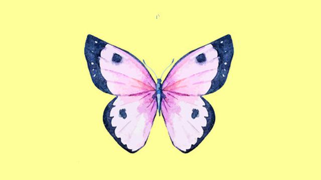 Pilih Satu Kupu-Kupu Favorit, Pilihanmu Ungkap Sisi Tersembunyi Dirimu
