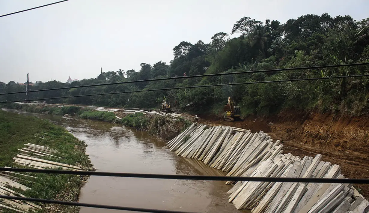 Normalisasi akan dilakukan sepanjang 60,5 kilometer Sungai Ciliwung, Jakarta. Foto diambil pada Senin (10/11/2014). (Liputan6.com/Faizal Fanani) 